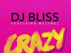 DJ BLISS