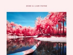 ZEDD & LIAM PAYNE