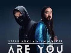 STEVE AOKI & ALAN WALKER
