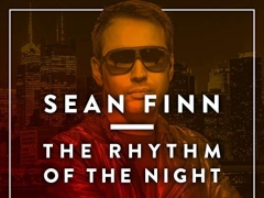 SEAN FINN