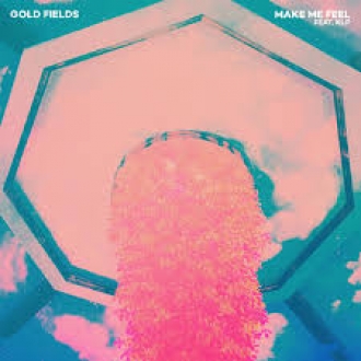 GOLD FIELDS