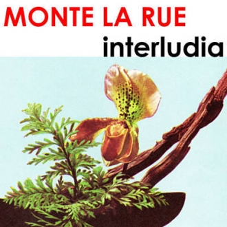 MONTE LA RUE