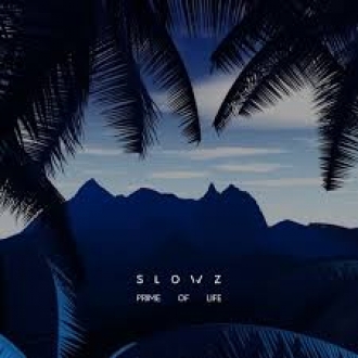 SLOWZ