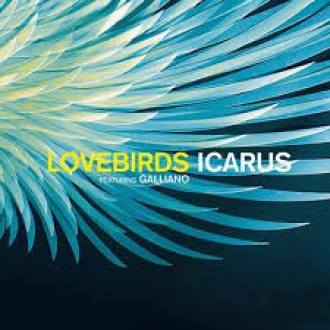 LOVEBIRDS, GALLIANO