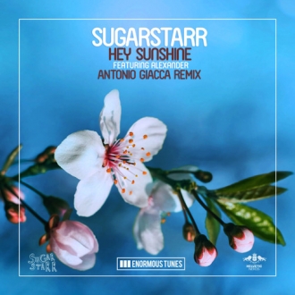 SUGARSTARR & ALEXANDER