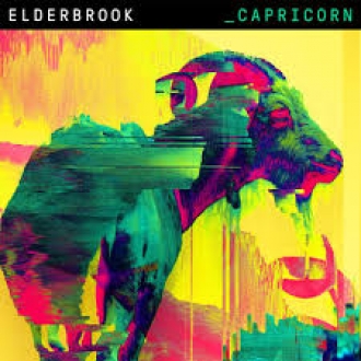 ELDERBROOK