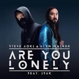 STEVE AOKI & ALAN WALKER