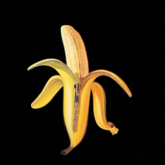 THE DANDY WARHOLS