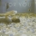 FICKLE FRIENDS &ndash; For You (Cesare Remix)