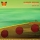 SEVEN & R.I.B &ndash; Summer Dreams (Submersion Remix)