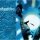 AME STRONG &ndash; Tout Est Bleu