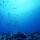 ALESSANDRO PICCIAFUOCHI &ndash; Undersea