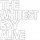 WHITEST BOY ALIVE &ndash; Rollercoaster Ride (D-Pulse dub edit)