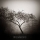 SORROW &ndash; Dreamstone ft CoMa