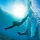 JEROME ISMA AE &ndash; Underwater Love