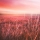 RELAXDAILY &ndash; B-Sides