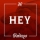 INDAGO &ndash; HEY