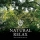 KENICHIRO NISHIHARA & MABANUA &ndash; My Leaving