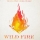 DJ SAVA & MISHA MILLER &ndash; WILD FIRE