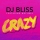 DJ BLISS &ndash; CRAZY