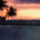 MORGAN WALLEN &ndash; Love Somebody