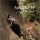 NAOSLEEP &ndash; Just in time
